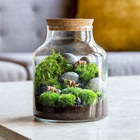 small glass terrarium containers